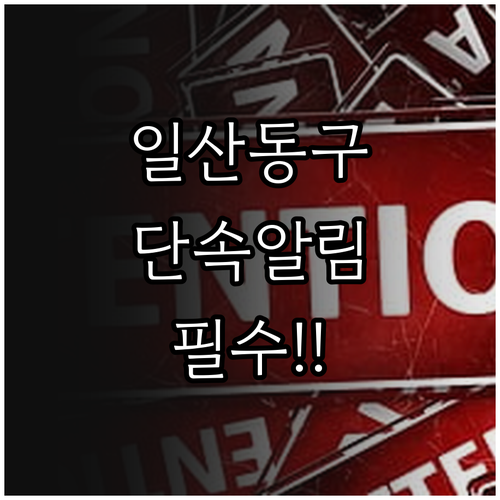 일산동구 주정차 단속 알림 서비스 신..