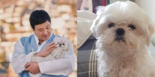 구성환 꽃분이 나이 프로필 사망 나혼산 국토대장정