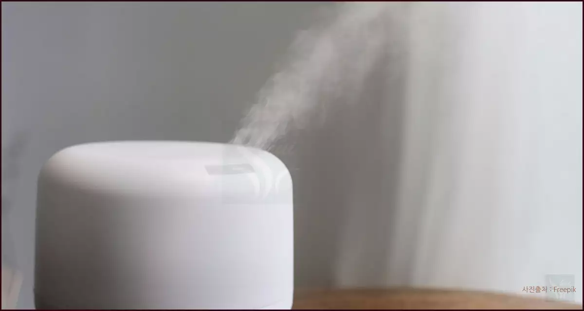 공기청정기와 가습기 동시 사용법