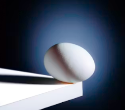 만성 신부전에 좋은 음식 영양제 식단