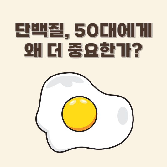 단백질, 50대에게 왜 더 중요한가?