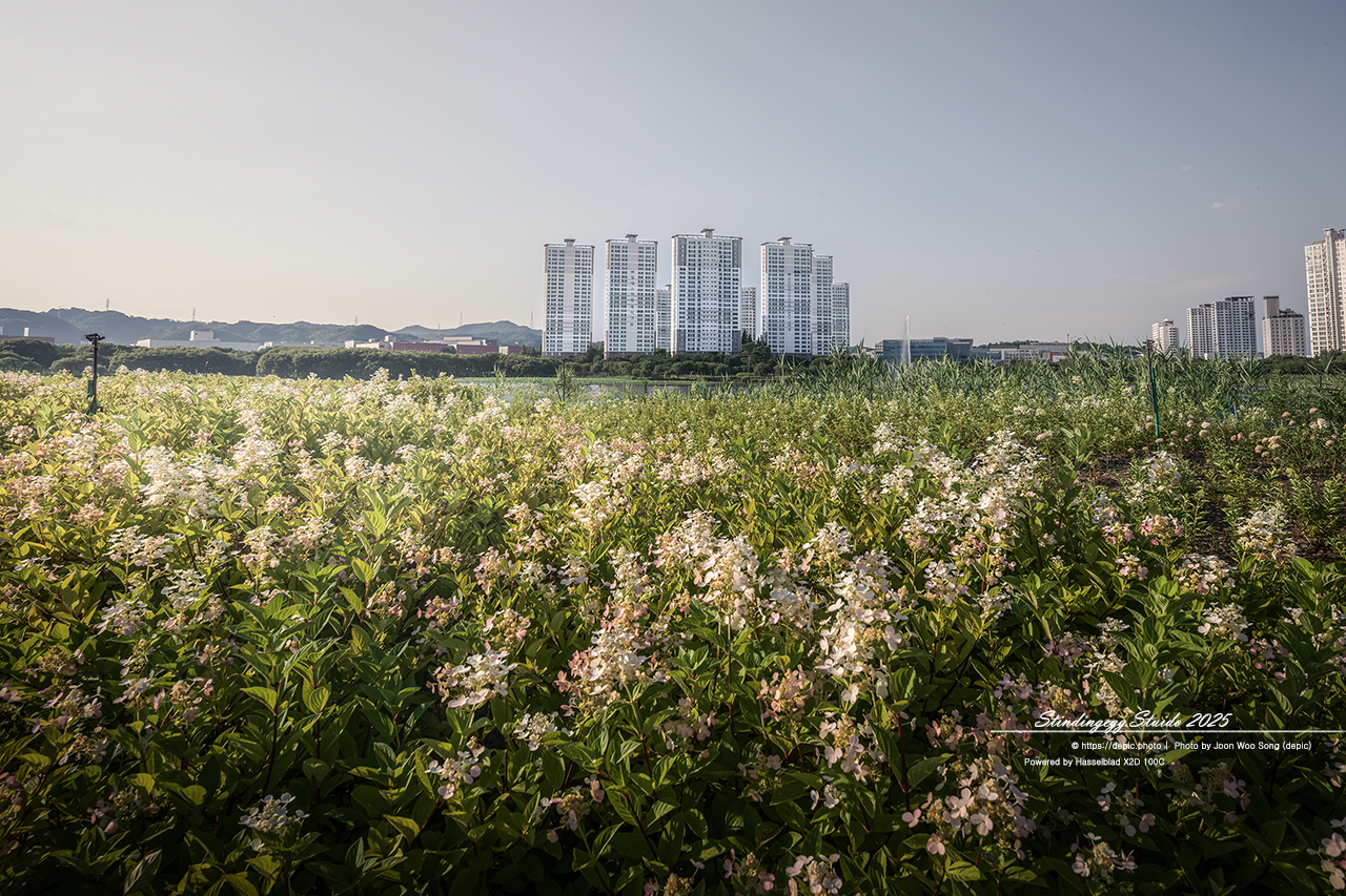 #청주 #오송 #호수 #공원 #아파트