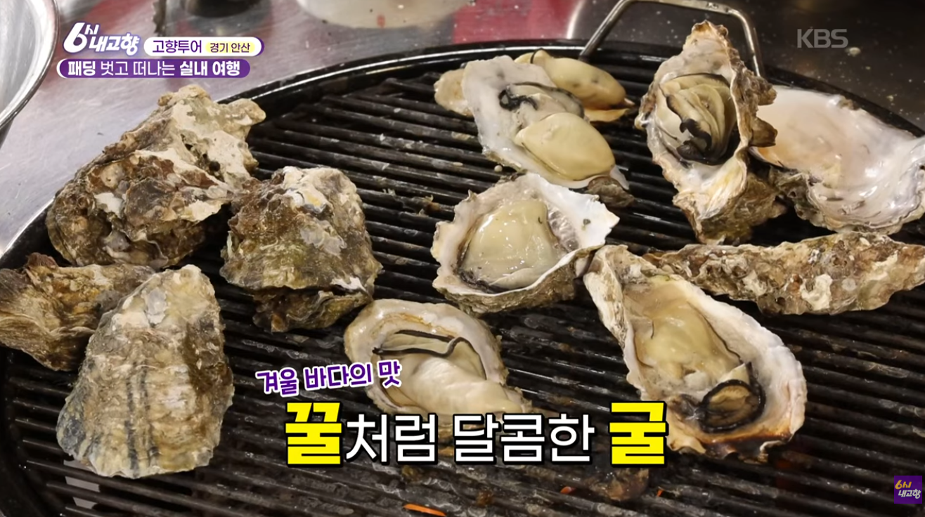 6시 내고향 안산 굴구이