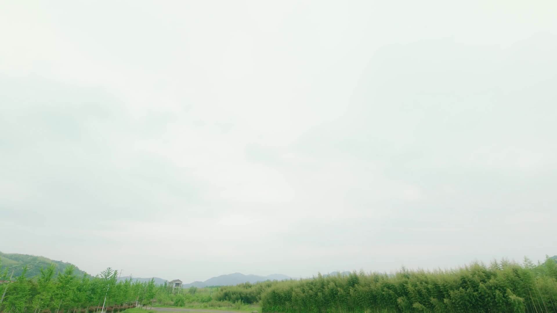 중드 별타요아종전