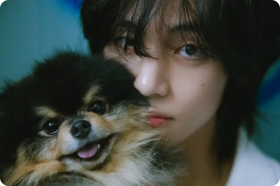 방탄 뷔 반려견 '연탄이' 강아지별로 떠나.. 레이오버 앨범 커버 김태형 김연탄 포메라니안