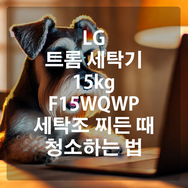 LG 트롬 세탁기 15kg F15WQWP 세탁조 찌든 때 청소하는 법