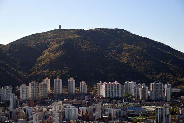자율주행 신재생 에너지 스마트시티 조성사업 선정 결과2
