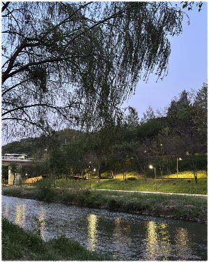 양재천