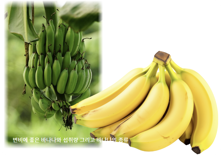 변비에 좋은 바나나