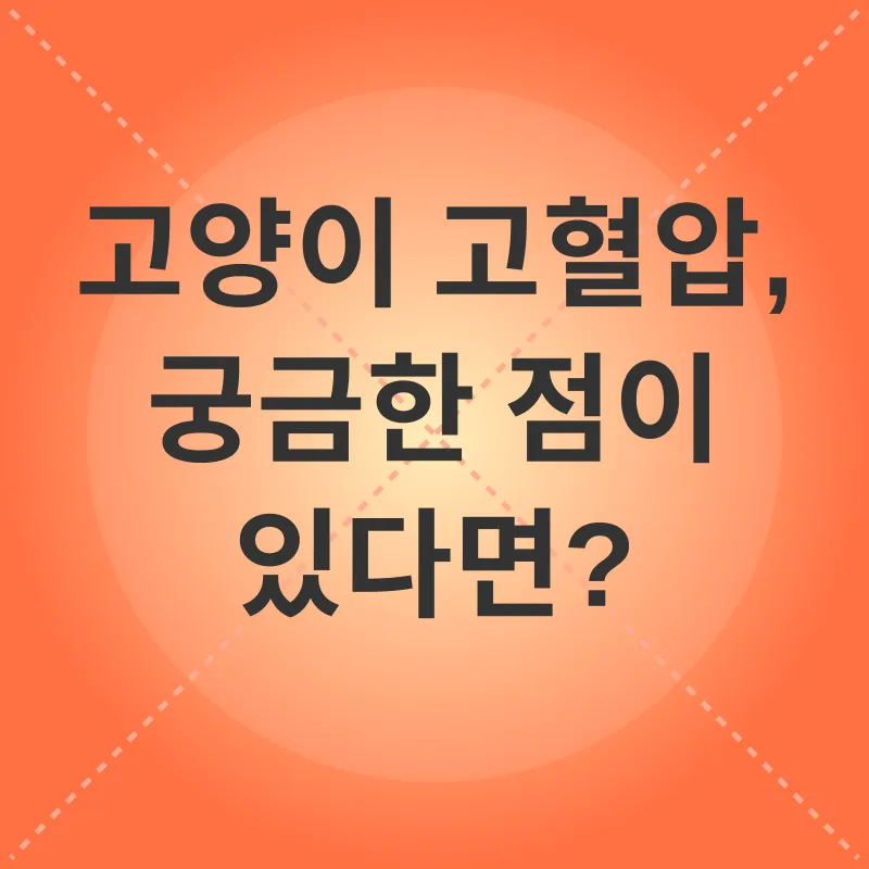 고양이 고혈압 관리_4