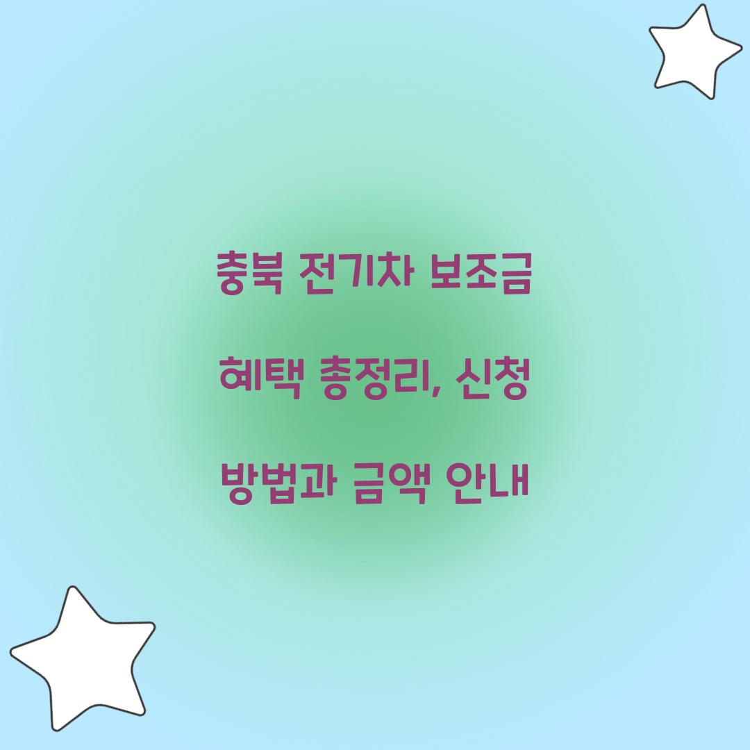 충북 전기차 보조금