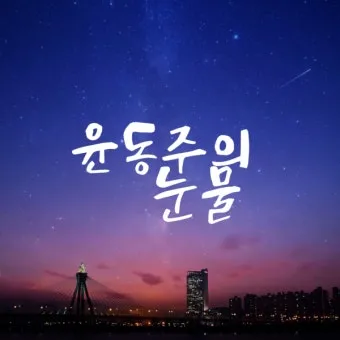죽는 날까지 하늘을 우러러 한 점 부끄럼이 없기를 윤동주 시 세계_25