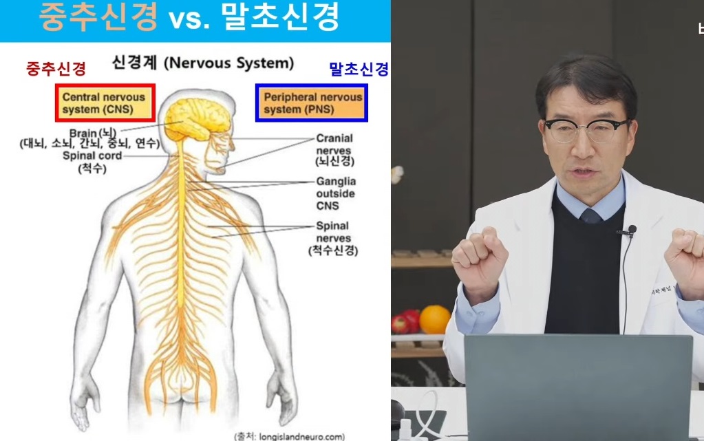 강경중-교수-진료-예약