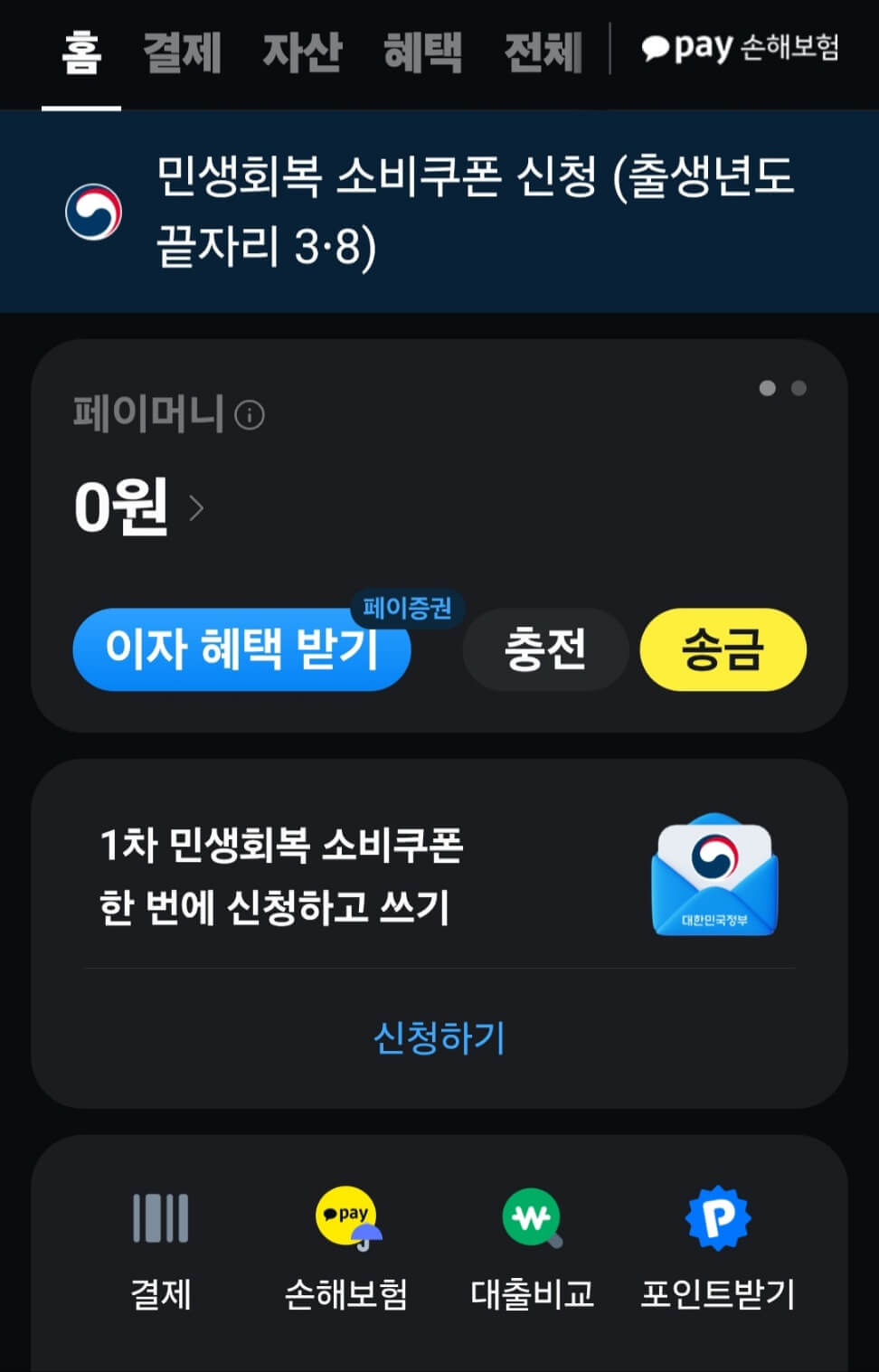 민생회복지원금 카카오페이