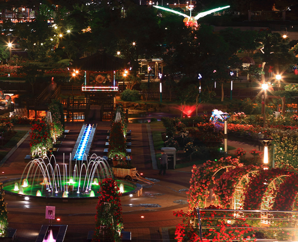 2025 곡성 세계장미축제