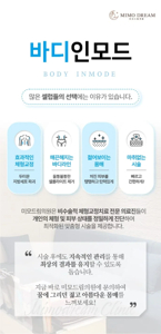 바디인모드
