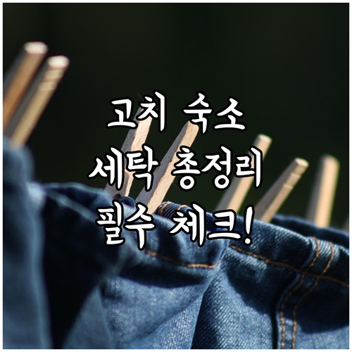 일본 고치 여행 숙소 세탁실 이용료와..