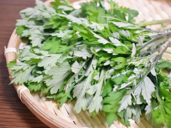 쑥떡 체내 산화 반응 완화