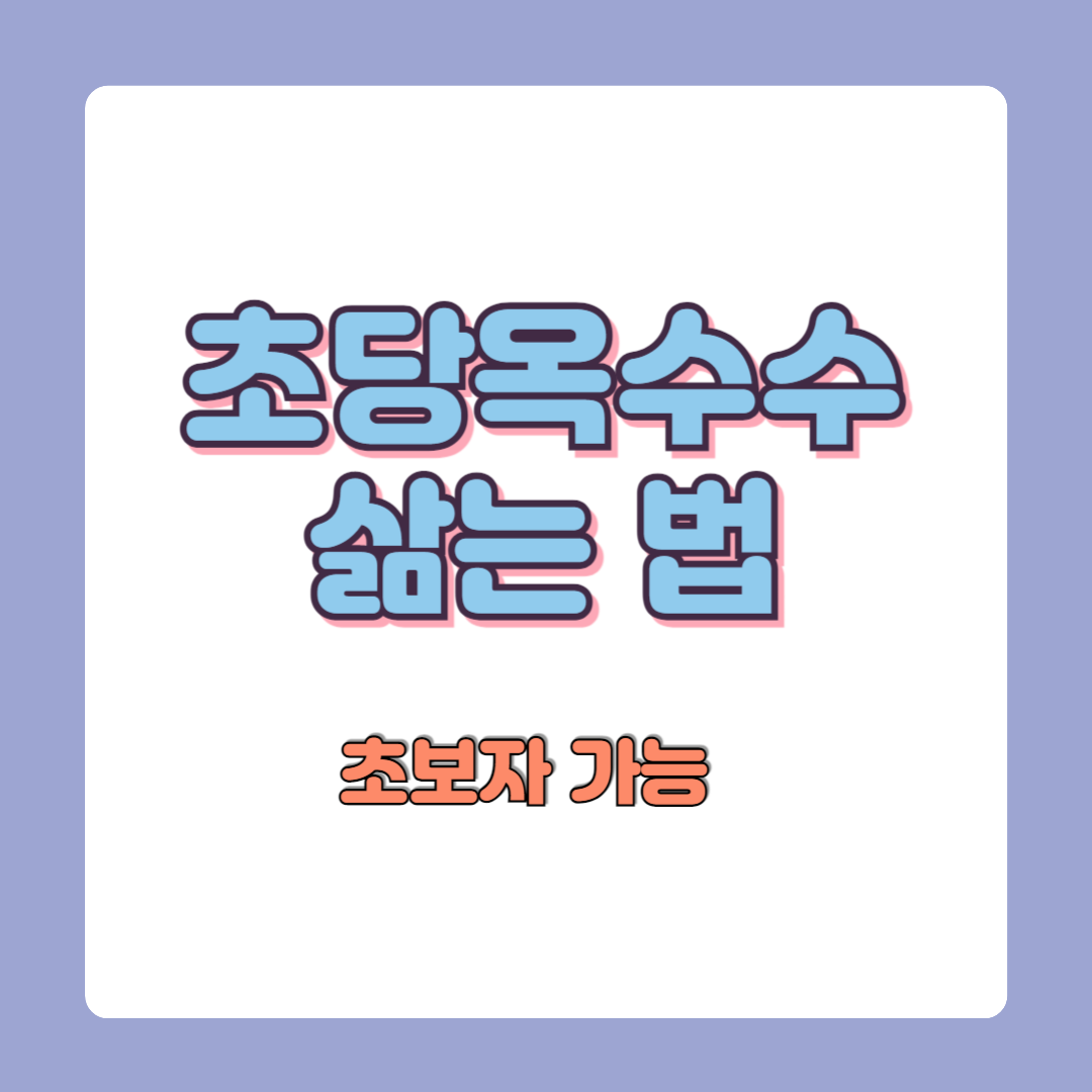 초당옥수수 삶는 법 – 처음 하는 사람도 쉽게 따라하는 완벽 가이드