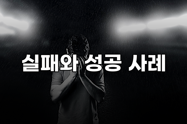 실패와 성공 사례