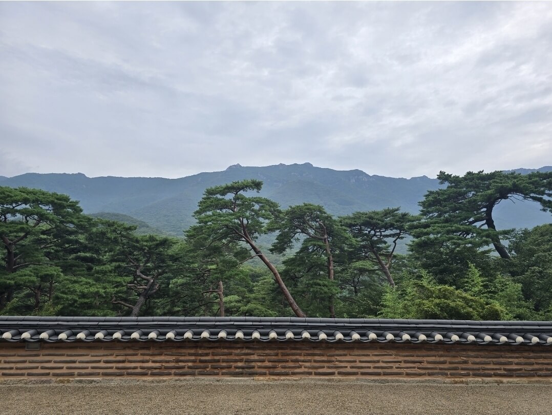 자장암에서 본 풍경