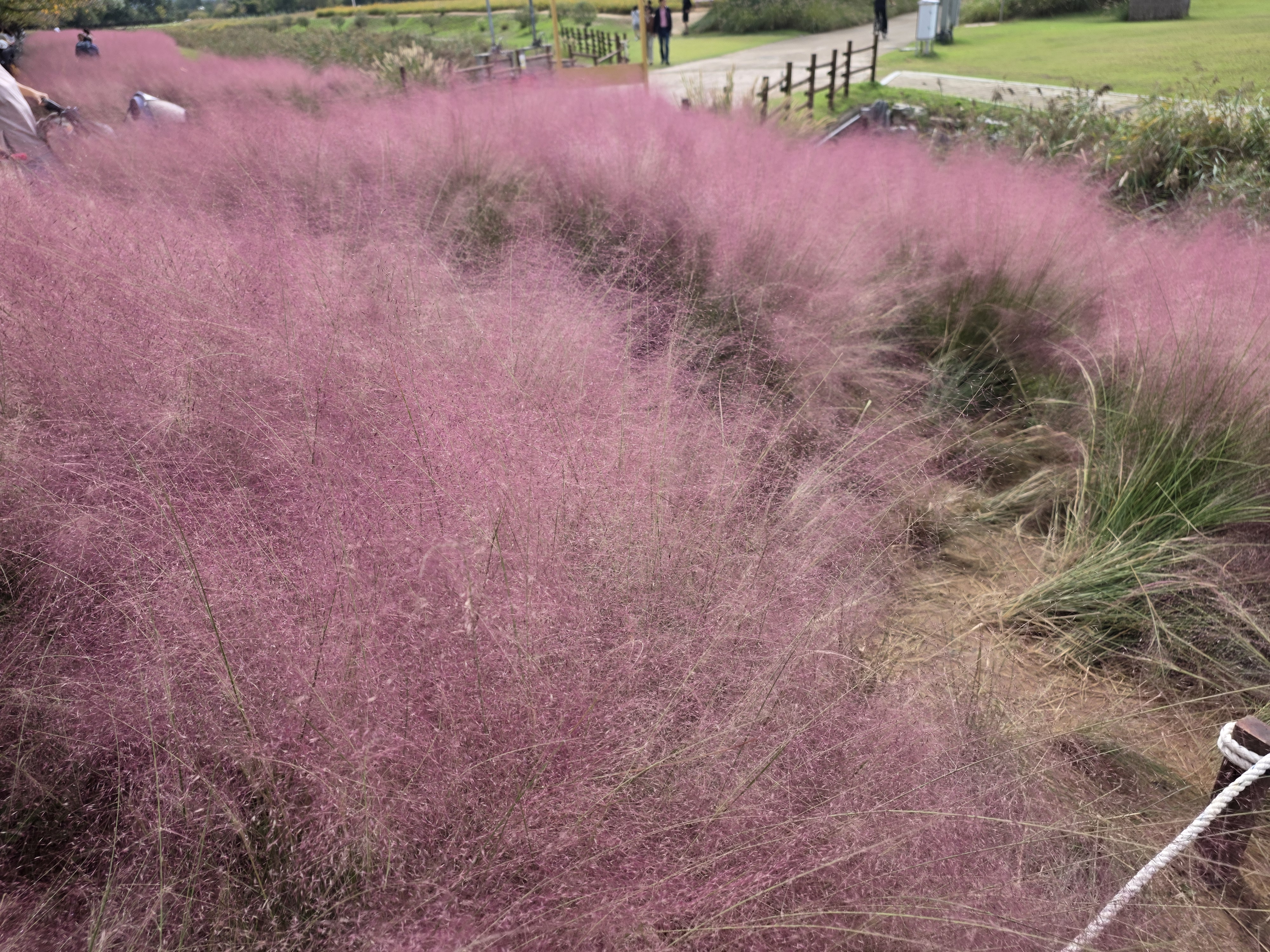 갯골생태공원 in 시흥