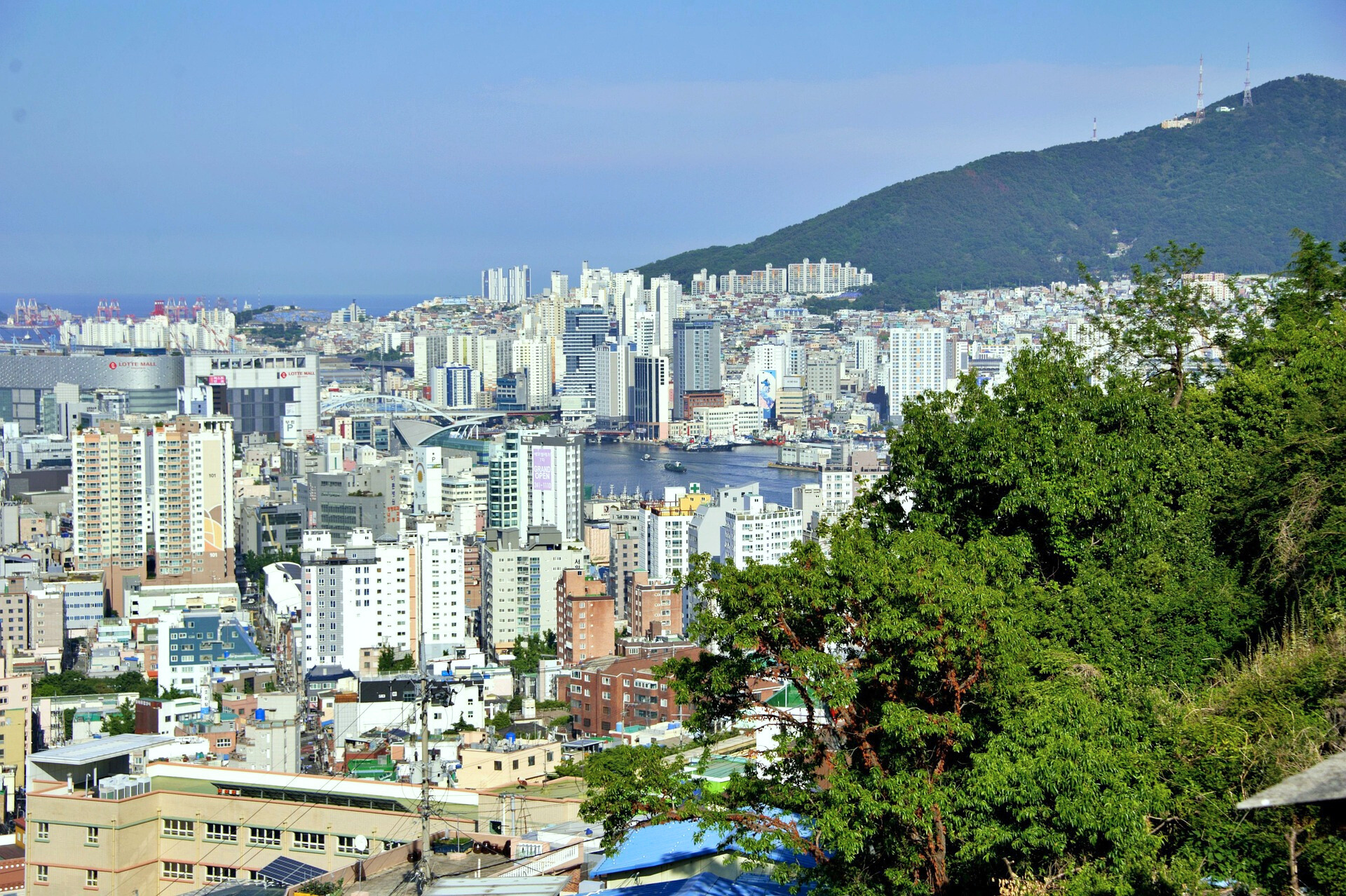 부산 도시 관련 사진