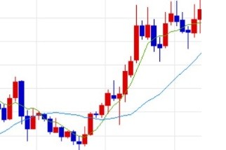 100 오르는 주식