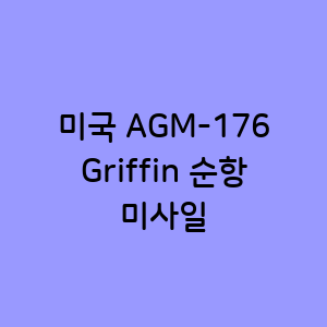미국 AGM-176 Griffin 순항 미사일
