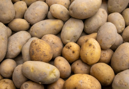 소고기 이유식 궁합음식