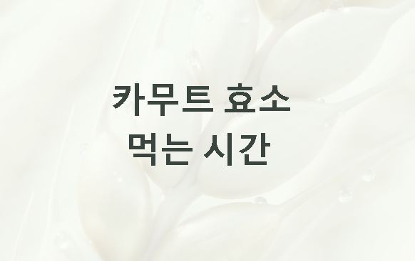 카무트 효소 먹는 시간