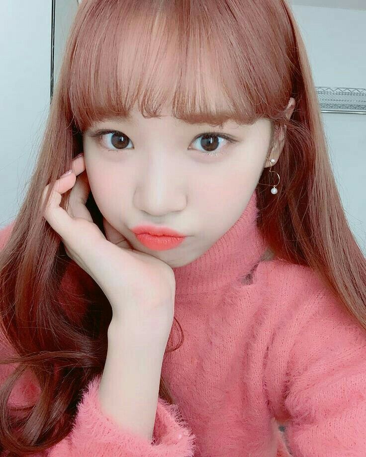 김채원 사진 모음