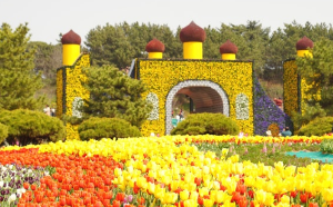 태안튤립박람회