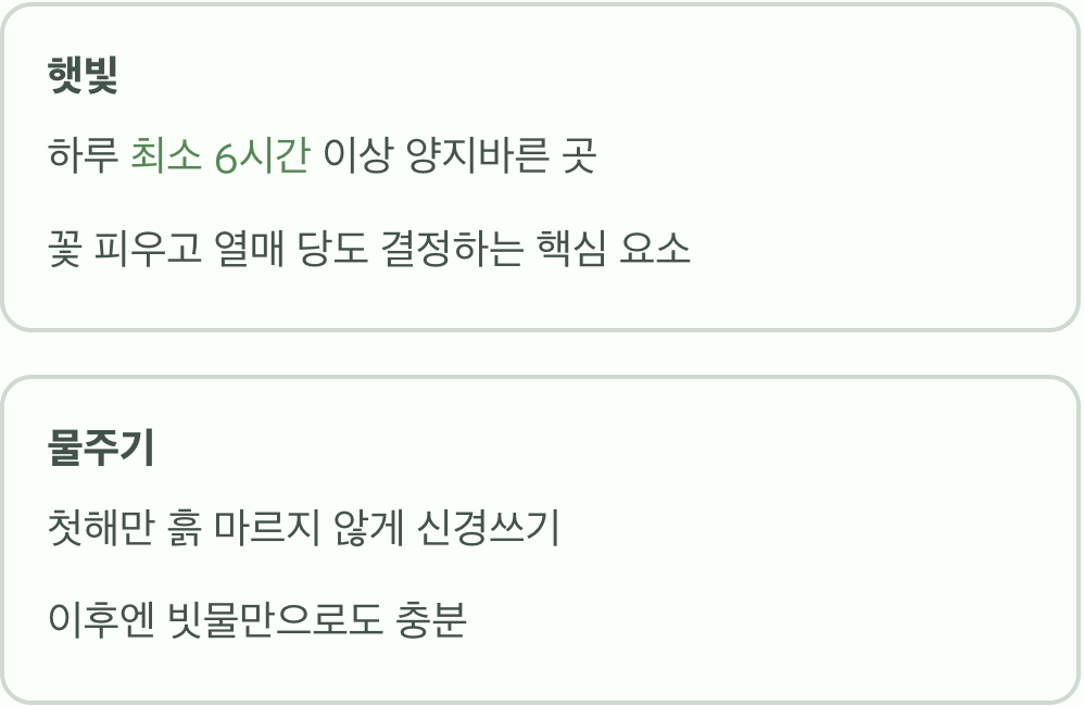 햇빛과 물, 이것만 기억하세요
