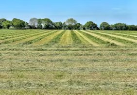 토지거래 허가제란 토지거래 허가제 해제