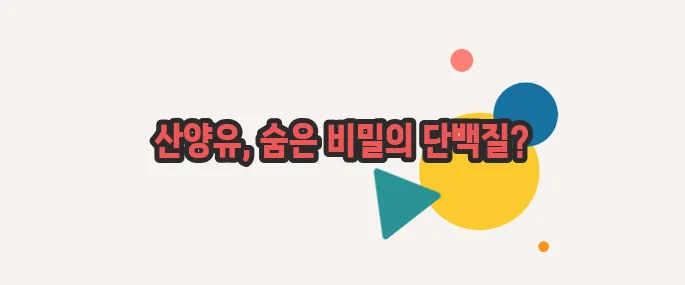 산양유 단백질 효능 이쯤에서 한번 알아볼까요