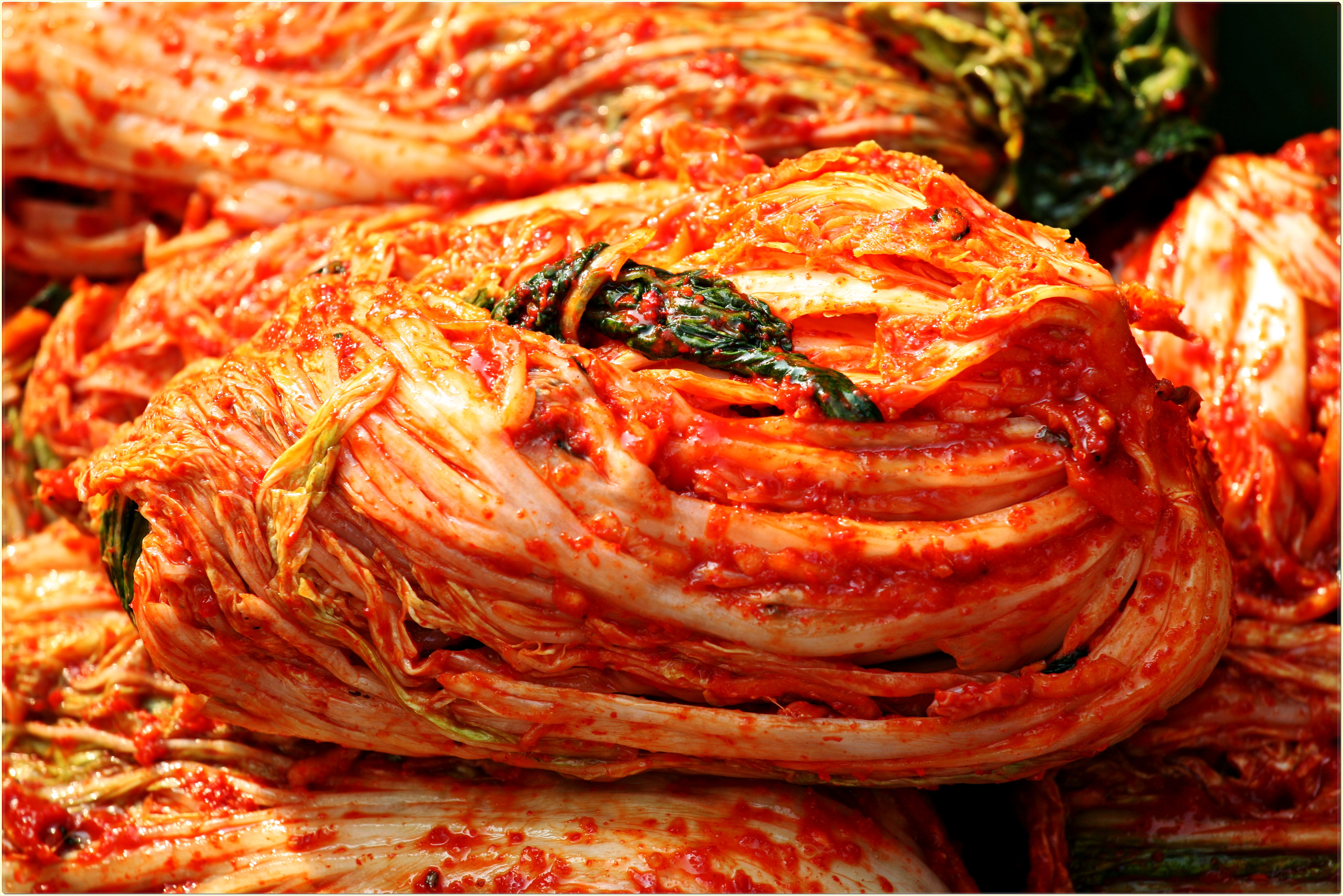 발효식품