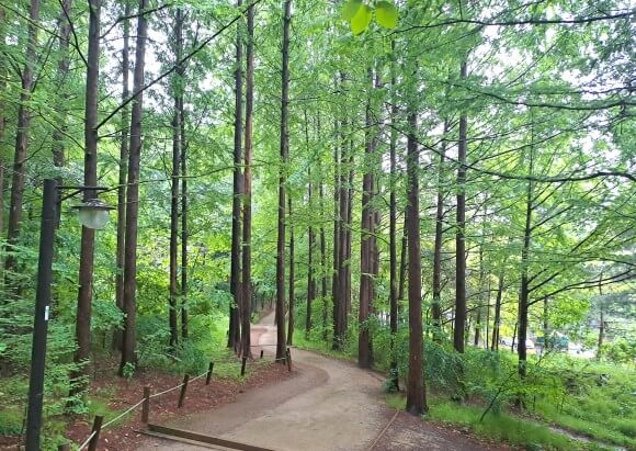 맨발걷기 효능 및 걷기 좋은 곳 TOP 5 추천