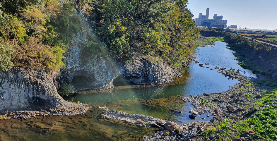 제주 올레9코스