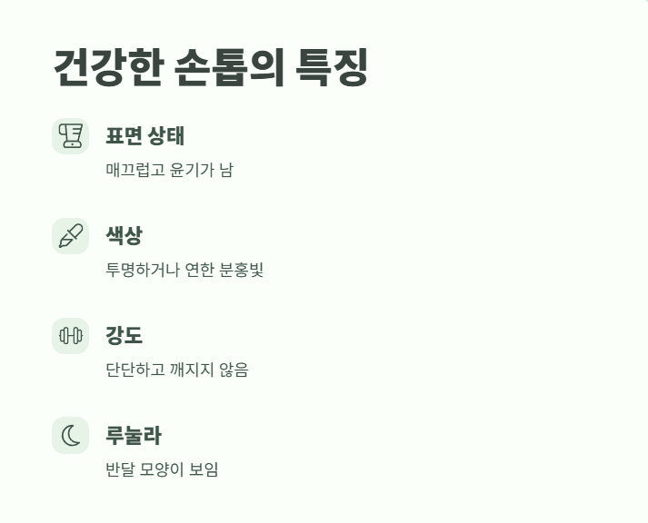 손톱으로 보는 건강상태 핵심 정리 2