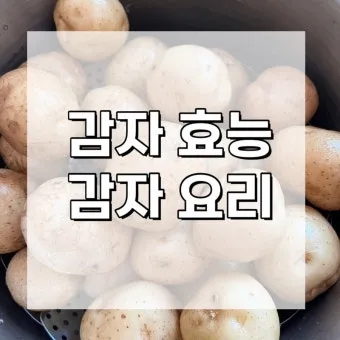 찐감자 효능 1개 칼로리 보관법 맛있게 먹는법_14
