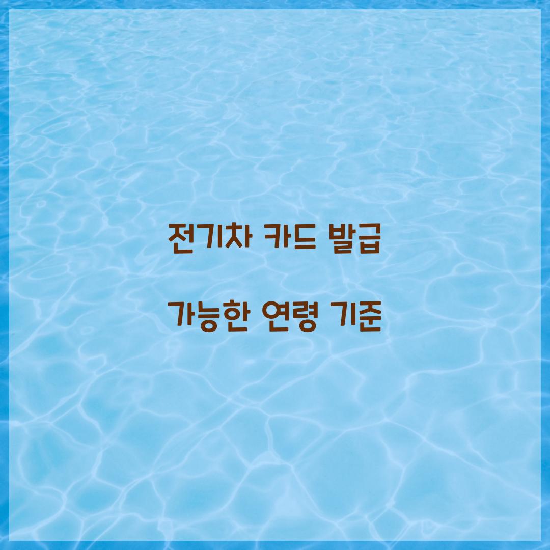 전기차 카드 발급 가능한 연령 기준