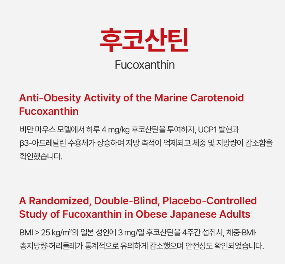 인퓨라젠 설포카프린 후기