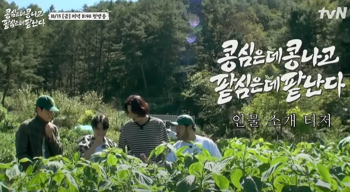 콩콩팥팥