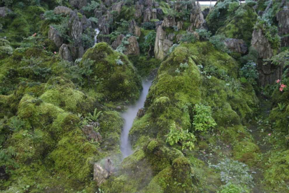 세미원 연꽃문화제