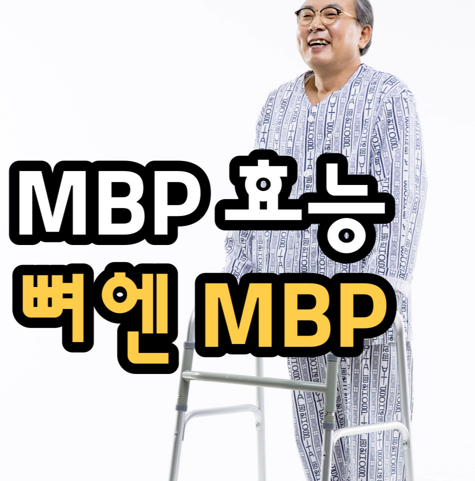 MBP 효능-뼈엔 엠비피MBP