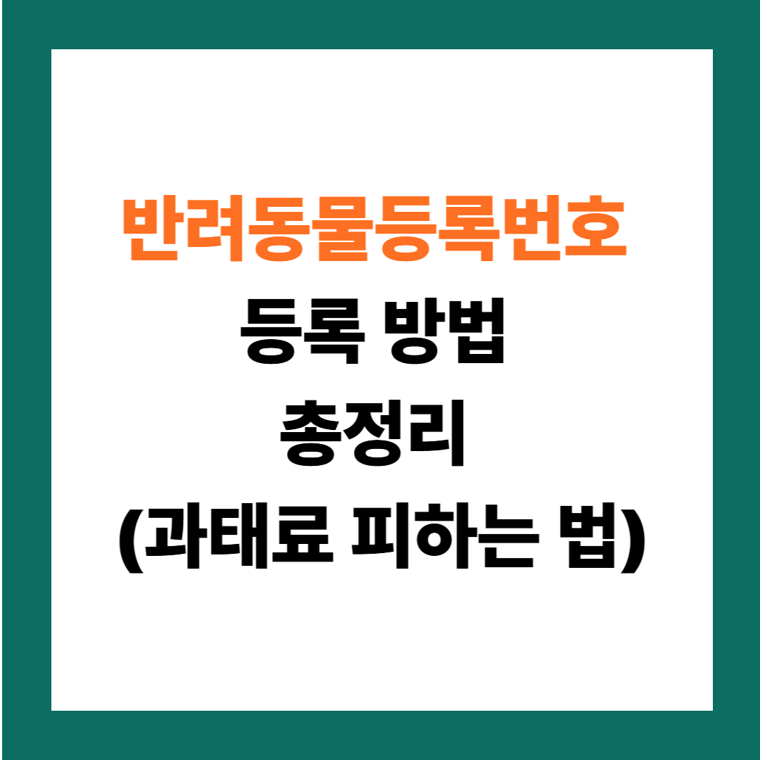 반려동물등록번호 등록 방법 총정리