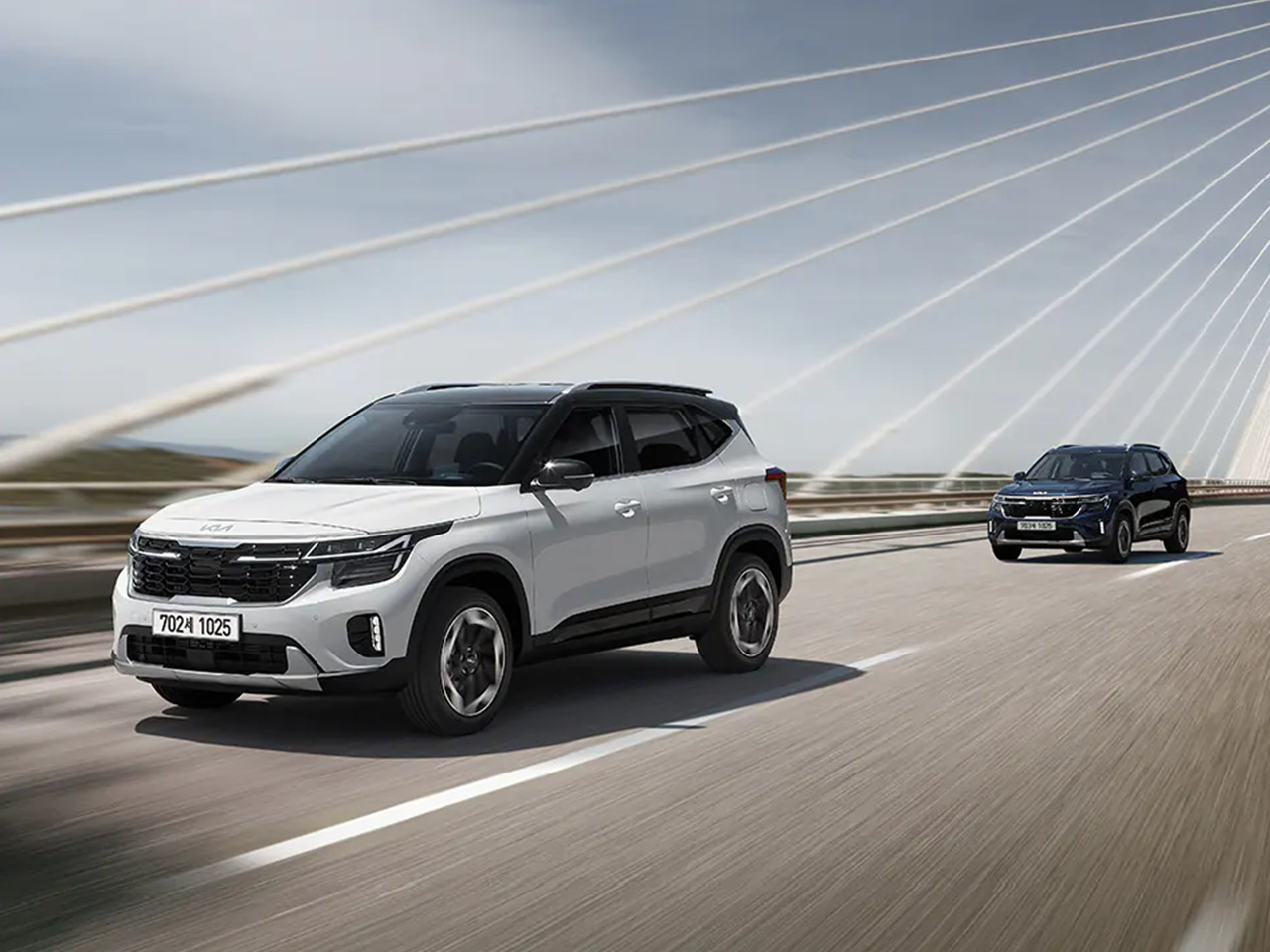 2023 더뉴 셀토스