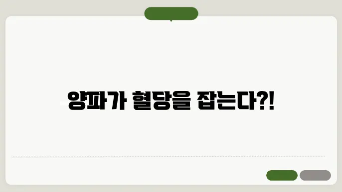 양파의 효능 혈당을 낮추는 퀘르세틴의 역할쿄 뱛5용씅