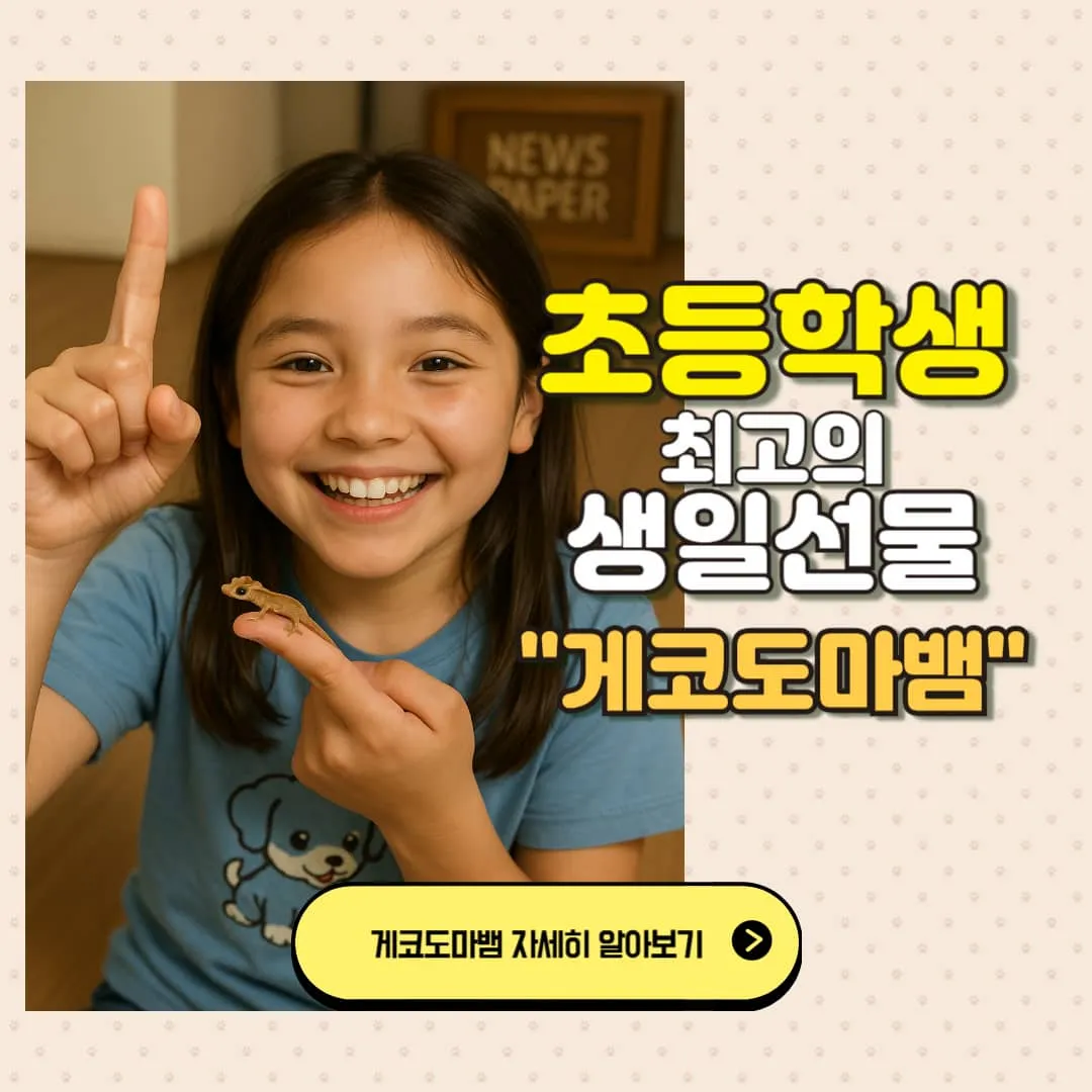 초등학생 생일선물